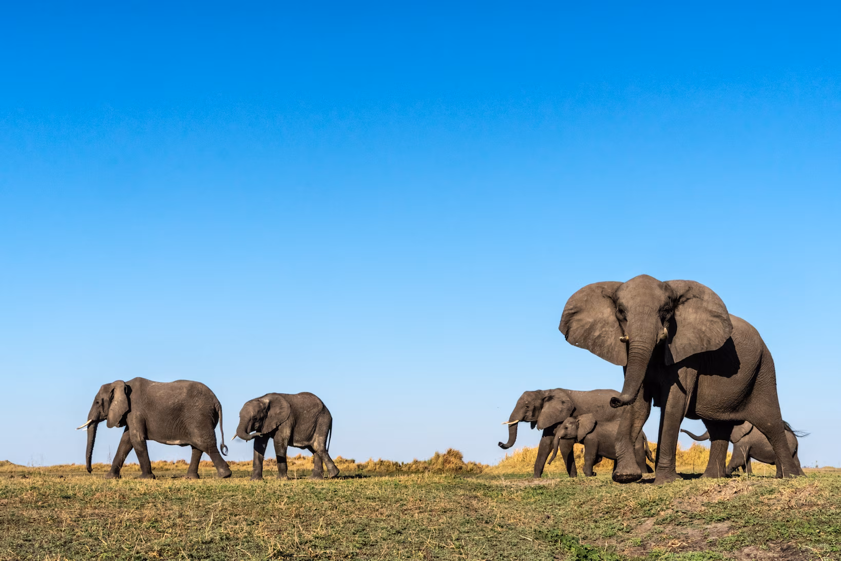 10 Days Western Uganda Safari with wildlife